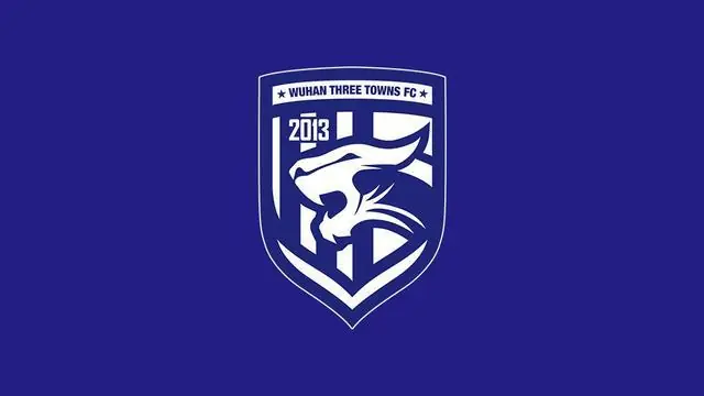 博主：三镇夏窗引援并未停止，积极运作后腰和边锋等位置人选