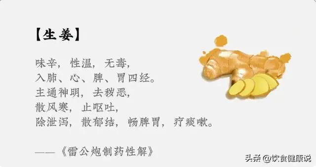 姜的图片
