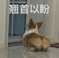 战术变革